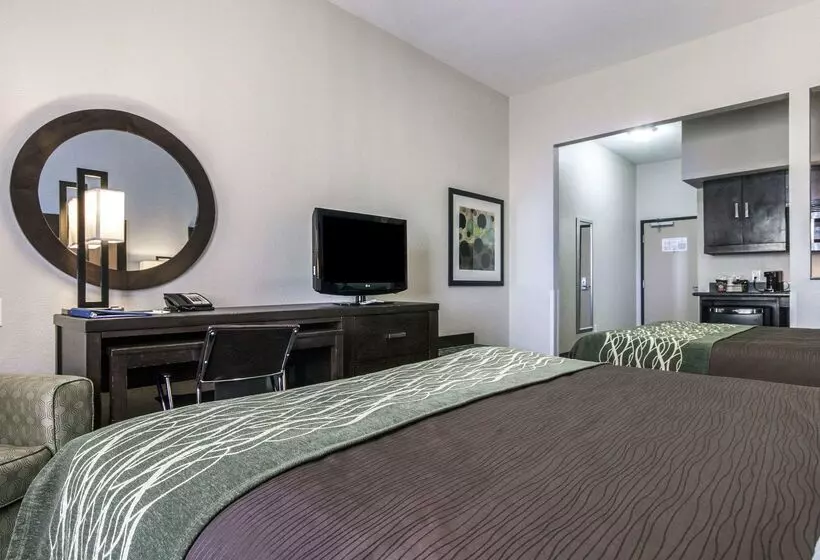 هتل Comfort Inn & Suites I10 Airport