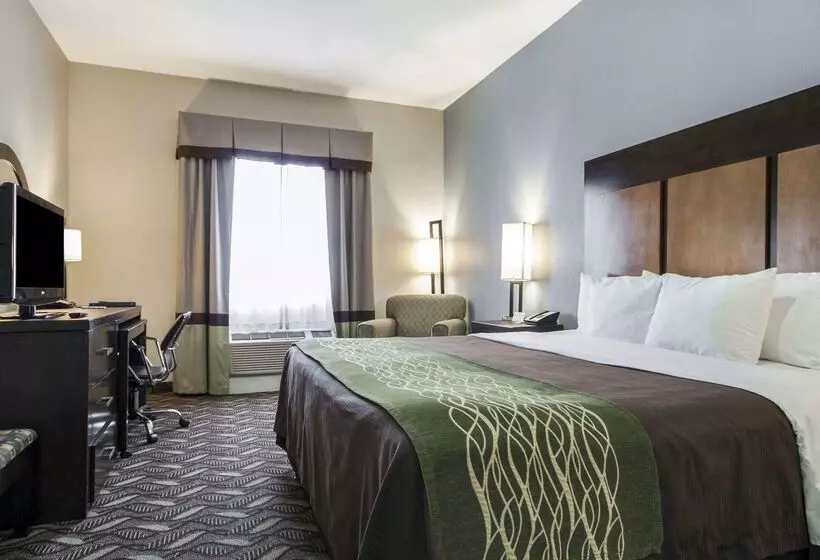 هتل Comfort Inn & Suites I10 Airport