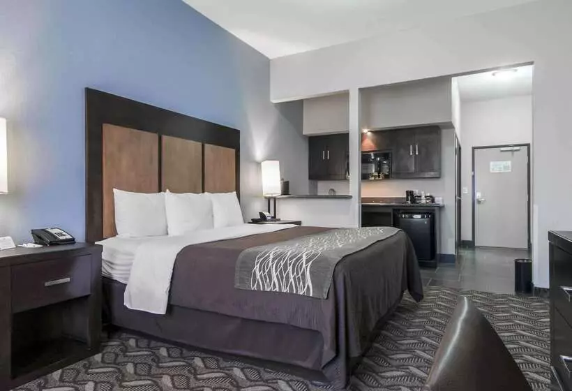 هتل Comfort Inn & Suites I10 Airport