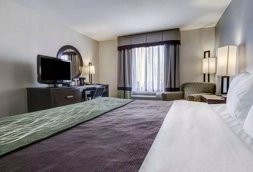 هتل Comfort Inn & Suites I10 Airport