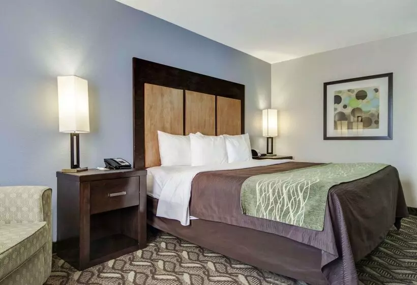 هتل Comfort Inn & Suites I10 Airport