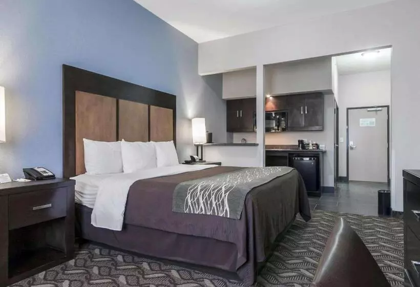 هتل Comfort Inn & Suites I10 Airport