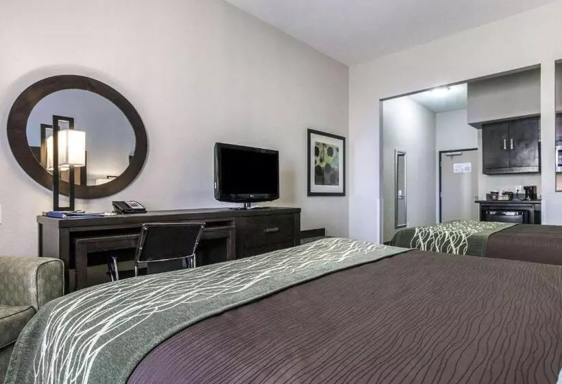 هتل Comfort Inn & Suites I10 Airport