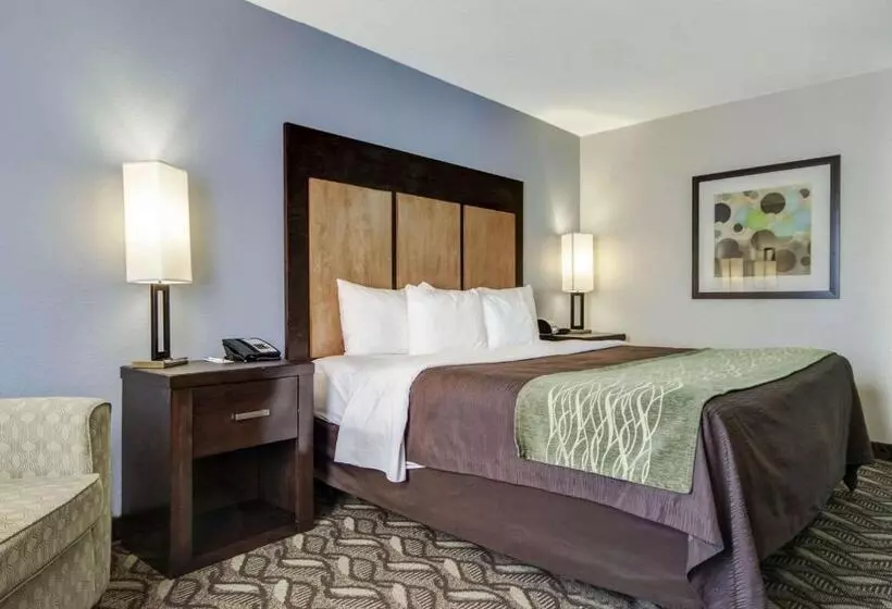 هتل Comfort Inn & Suites I10 Airport