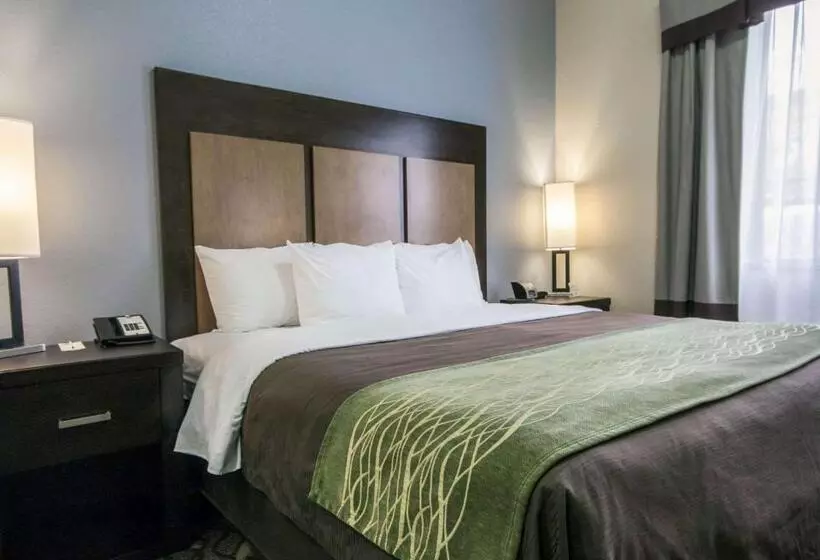 هتل Comfort Inn & Suites I10 Airport