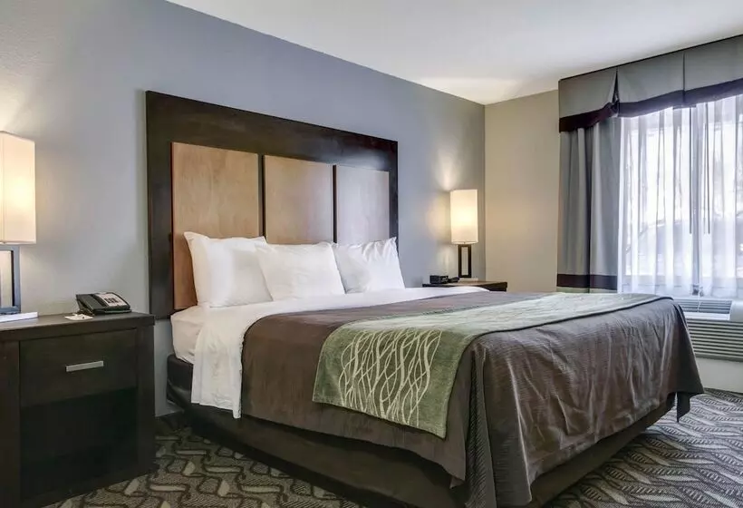 هتل Comfort Inn & Suites I10 Airport