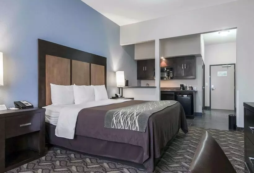 هتل Comfort Inn & Suites I10 Airport