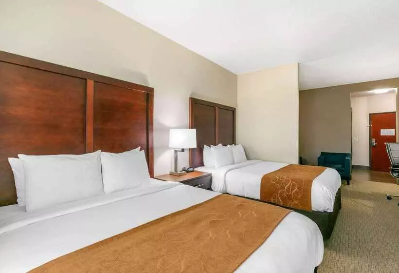 ホテル Comfort Suites Hopkinsville Near Fort Campbell