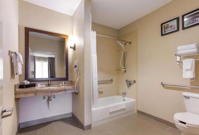 酒店 Comfort Suites North Mobile