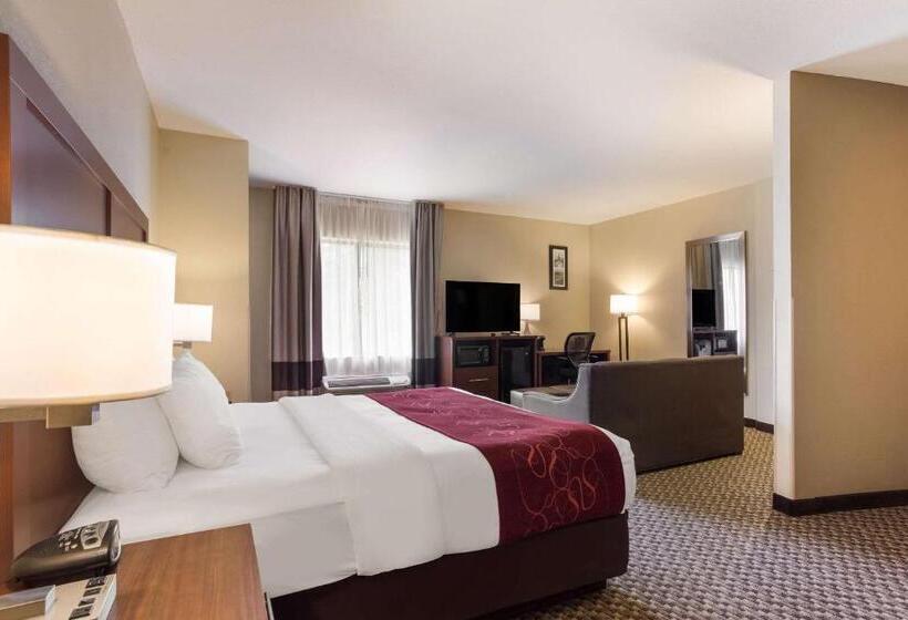 酒店 Comfort Suites North Mobile