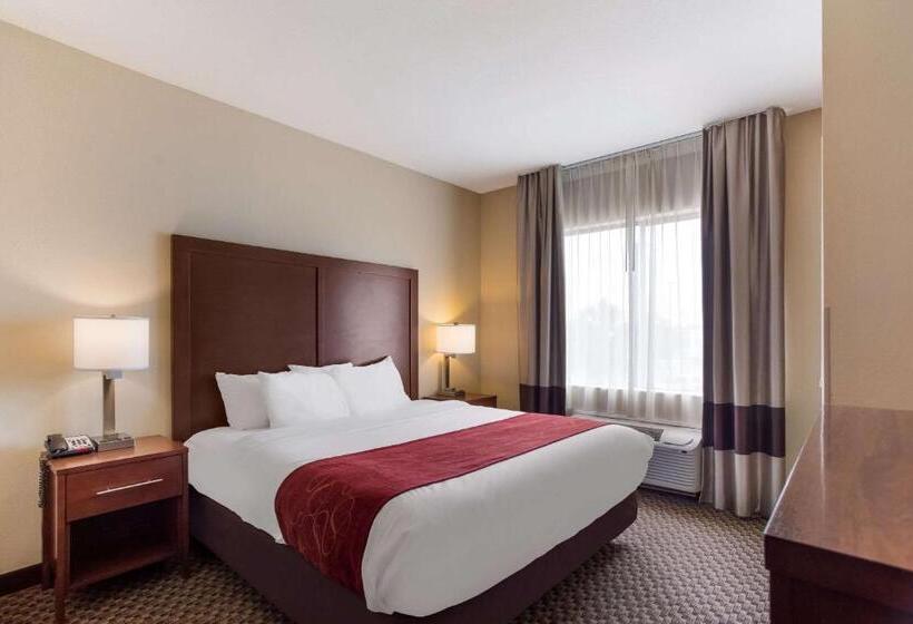 酒店 Comfort Suites North Mobile