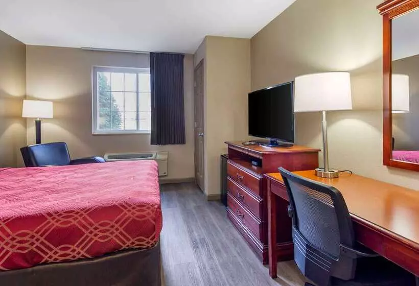 ホテル Econo Lodge Inn & Suites