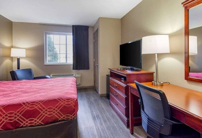 Отель Econo Lodge Inn & Suites