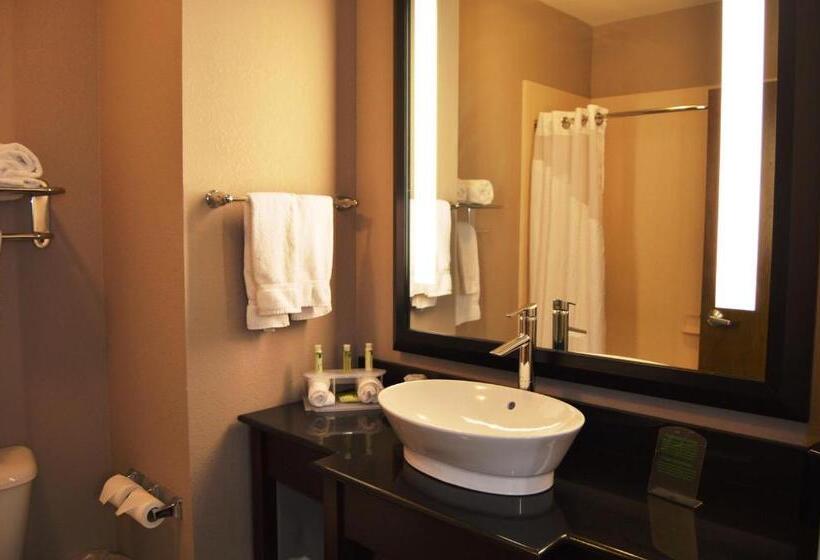 Holiday Inn Express Hotel & Suites El Reno By Ihg