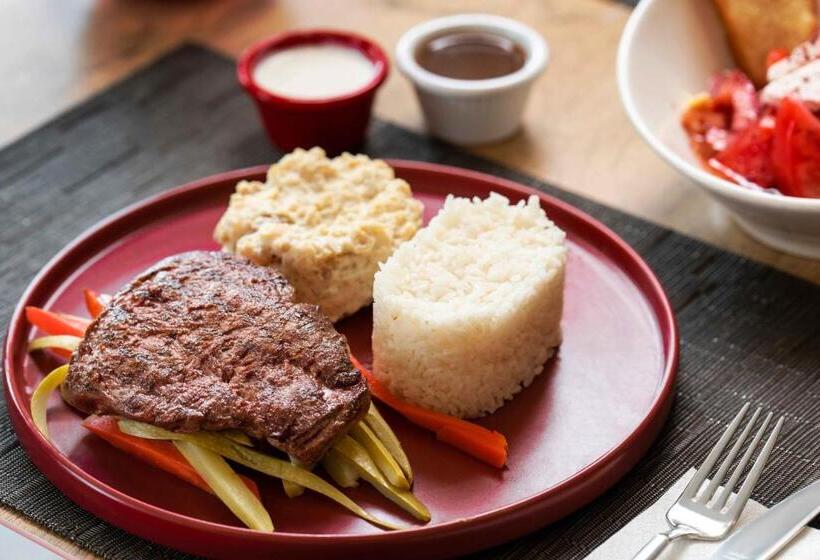 Hotel Ibis Ankara Airport