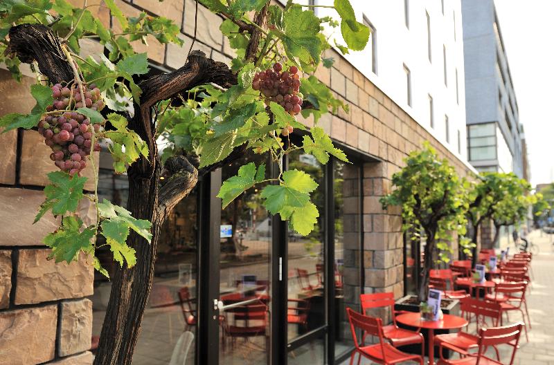 فندق Ibis Rotterdam City Centre