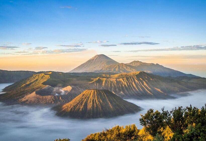 호텔 Ibis Styles Malang