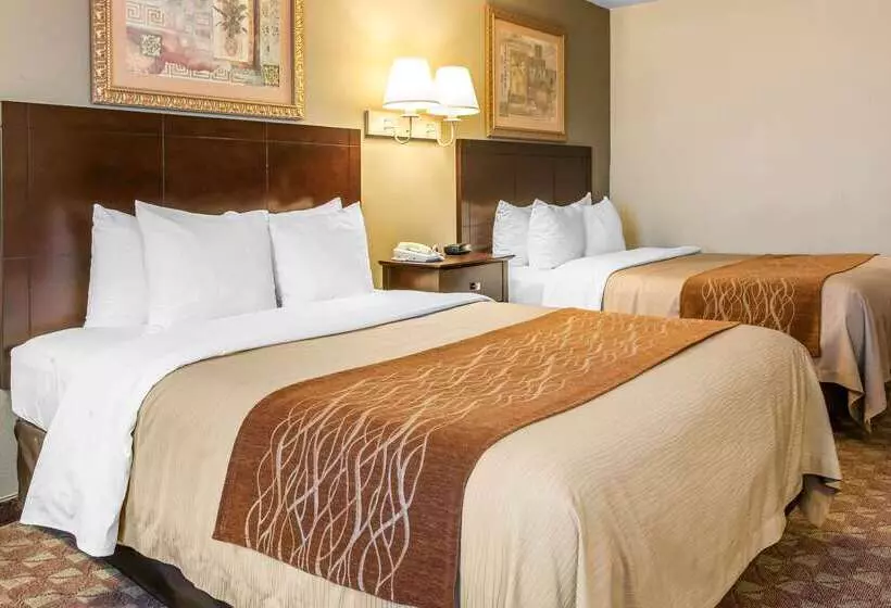 فندق Quality Inn
