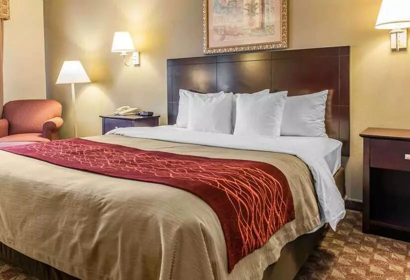 فندق Quality Inn