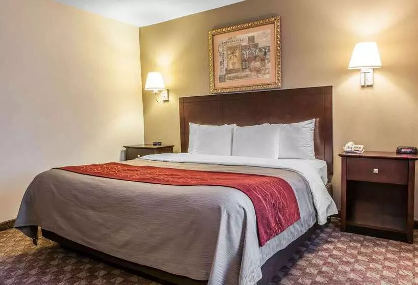 فندق Quality Inn