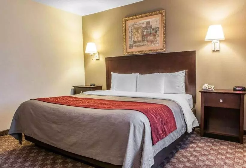 فندق Quality Inn