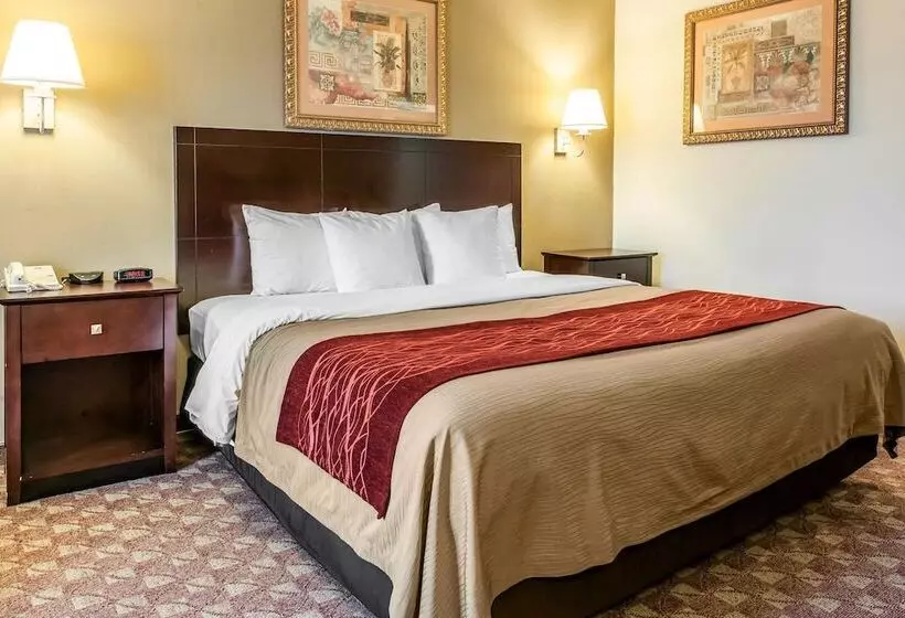 فندق Quality Inn