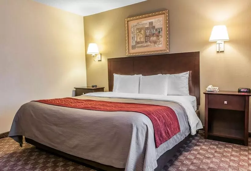 فندق Quality Inn