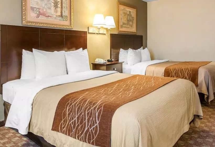 فندق Quality Inn