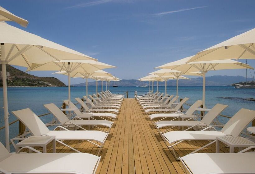 בית מלון כפרי Bellazure