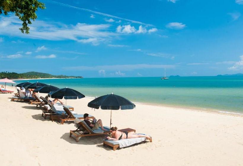 酒店 The Hammock Samui Beach Resort
