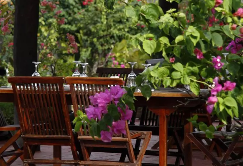 Ikin Margarita Hotel & Spa