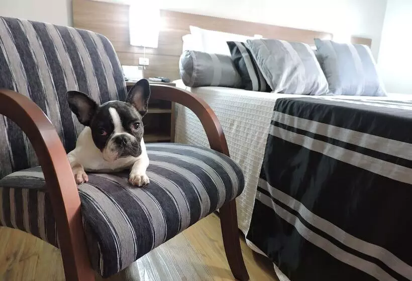 Hotelli Açores Premium 5 Minutos Do Moinhos De Vento