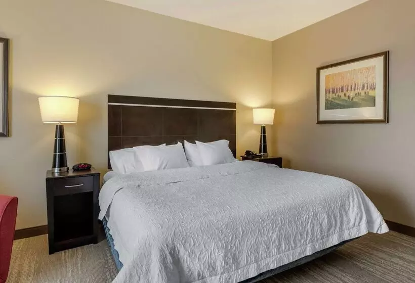 호텔 Hampton Inn Alamosa, Co