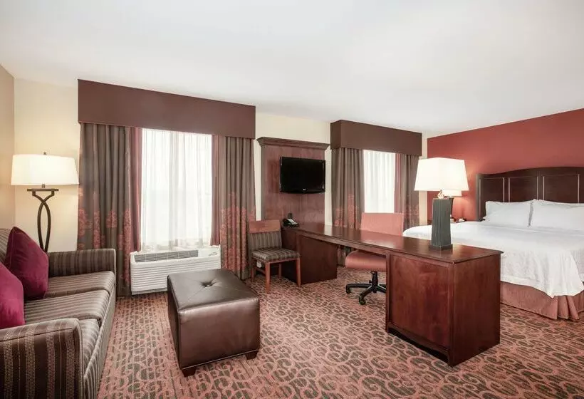 Hampton Inn & Suites Denver/southridgegate