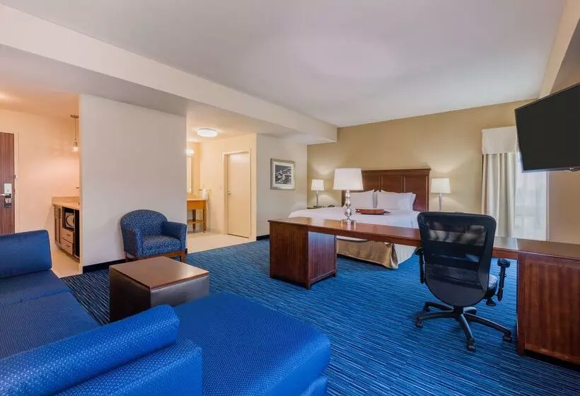 ホテル Hampton Inn & Suites Downtown Owensboro/waterfront