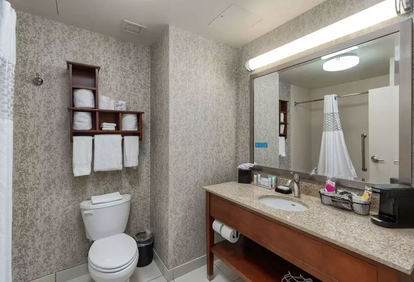 ホテル Hampton Inn & Suites Downtown Owensboro/waterfront
