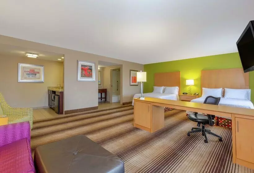 בית מלון כפרי Hampton Inn Texarkana Arkansas