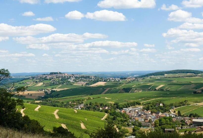 בית מלון כפרי Ibis Budget Cosnesurloire