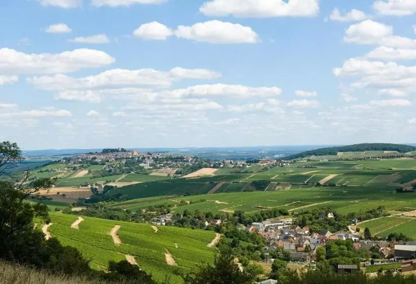 Отель Ibis Budget Cosnesurloire