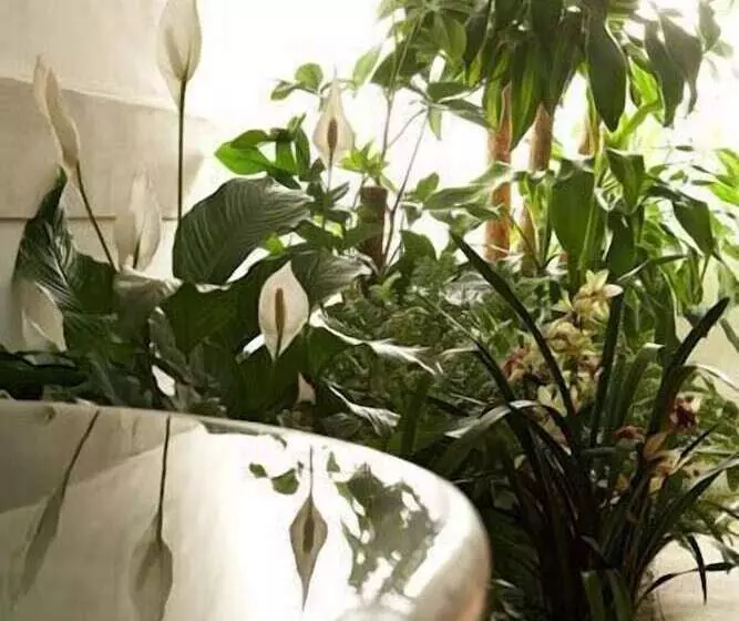 فندق & Residenza 100 Torri