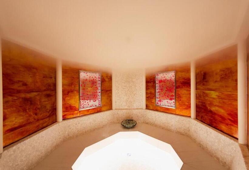 Hotel Sparkling Hill Resort And Spa Adultsonly Resort