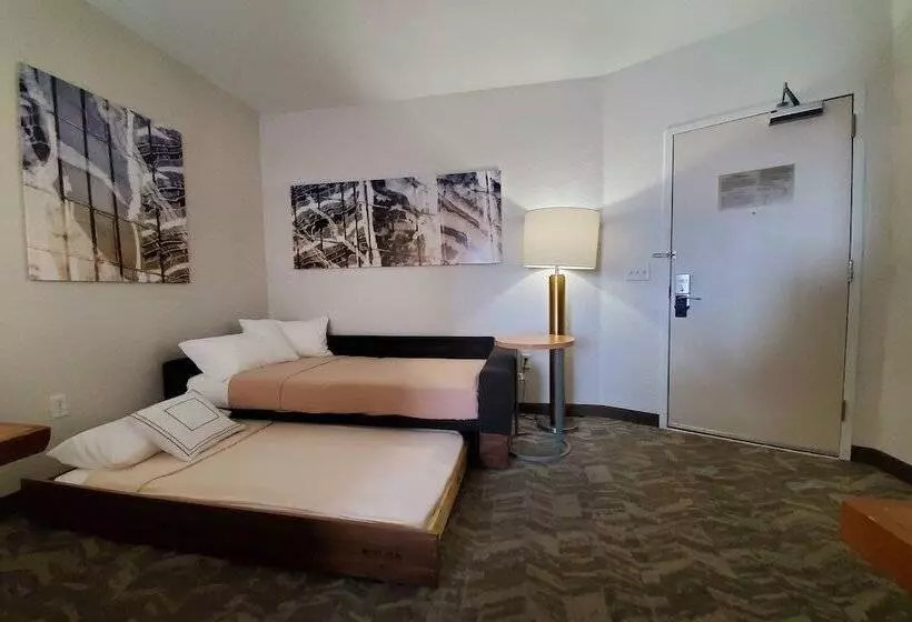 酒店 Springhill Suites By Marriott Grand Junction Downtown/historic Main Street