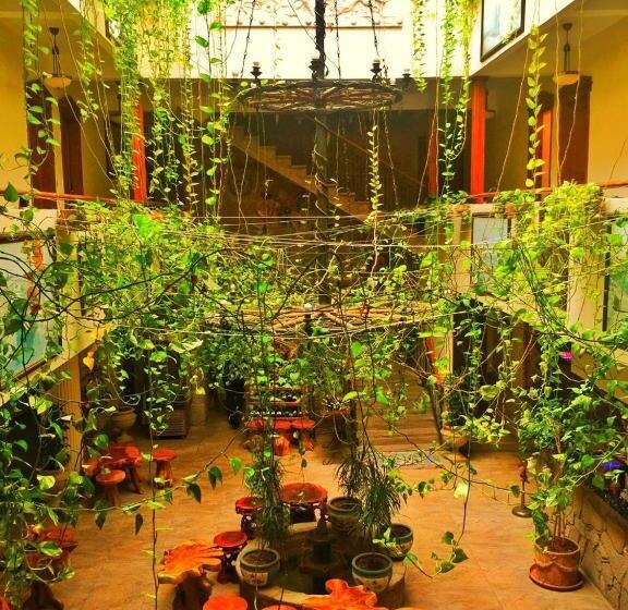 Assos Kervansaray Hotel   Special Class