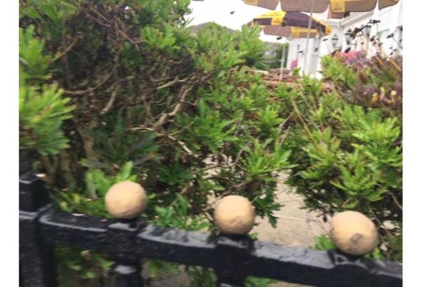 فندق Runnymede Court