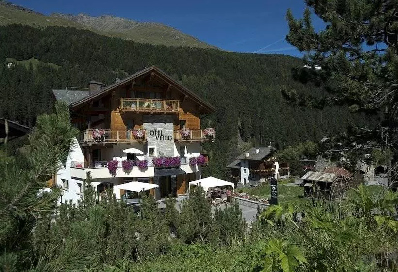 Отель Vedig