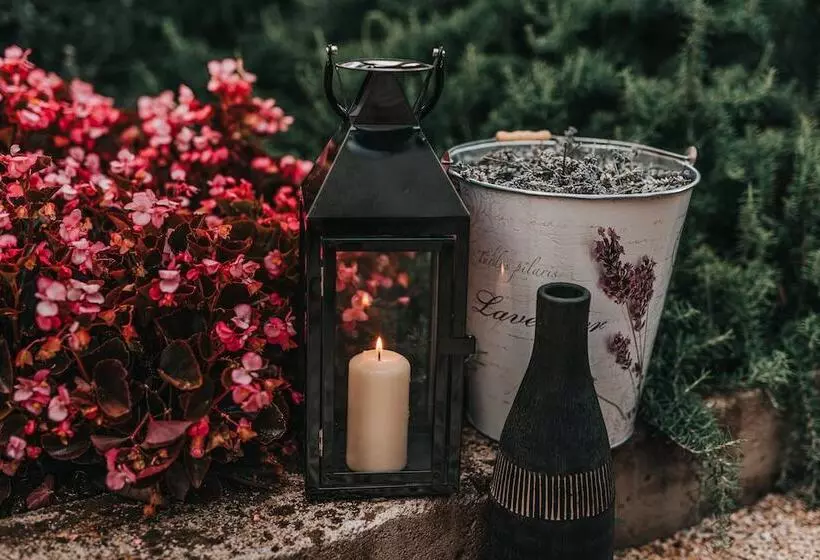 בית מלון כפרי Villa Eugenia