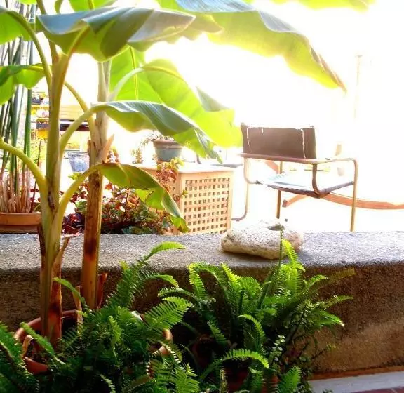 La Casa Di Marzapane Bed & Breakfast