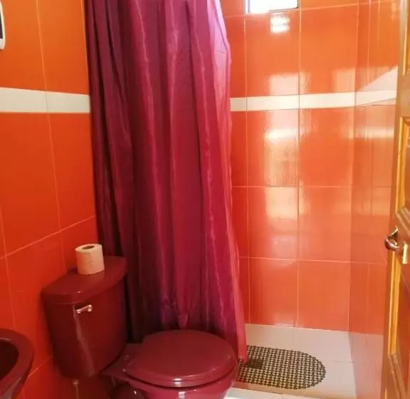 هتل Olas Del Titicaca Backpackers Hostel