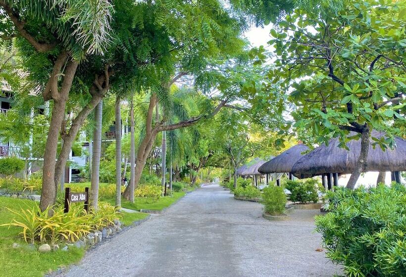 Отель Palm Beach Resort