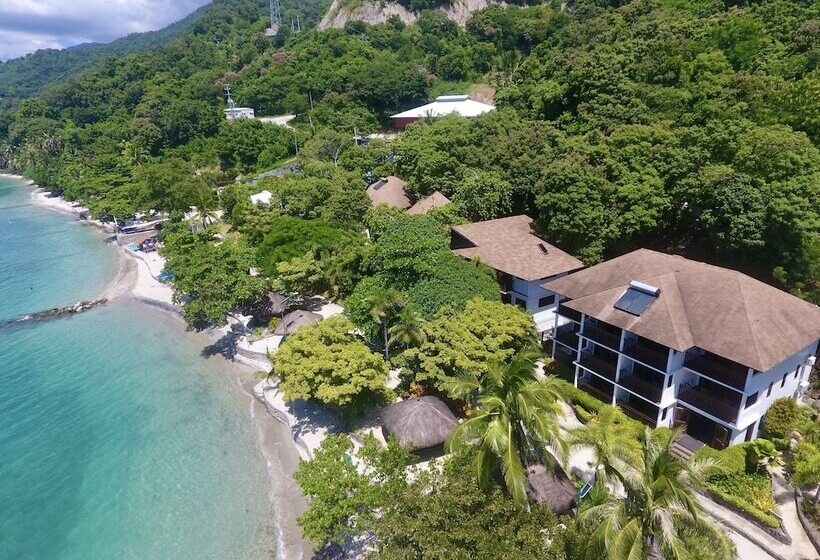 Отель Palm Beach Resort